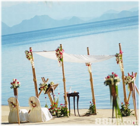 2020年香港婚禮鮮花價(jià)格與商戶資訊指南